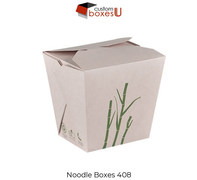 Custom Noodle boxes USA.jpg